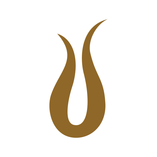 light logo